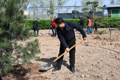 ֲ�̻��̼����� ������Ϊ�ٷ�չ������˾��չֲ�����⵳�ջ